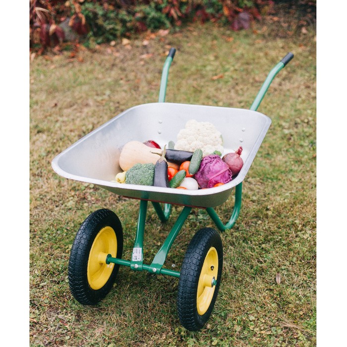 Тачка садовая. двухколёсная: груз/п 80 кг, объём 85 л, пневмоколесо 380 мм