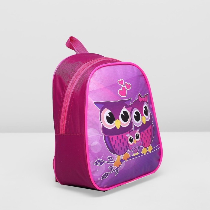 Рюкзак на молнии "Совёнок", 1 отдел, цвет розовый