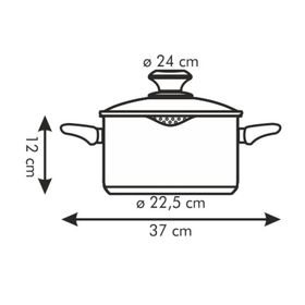 

Кастрюля Tescoma Presto с носиком и крышкой, d=24 см, 4,5 л