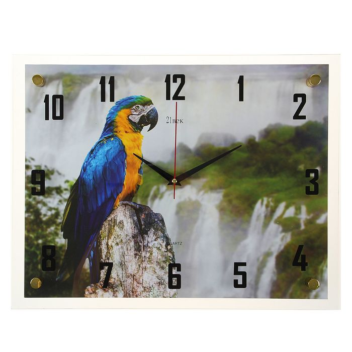 Часы настенные прямоугольные "Попугай", 35х45 см