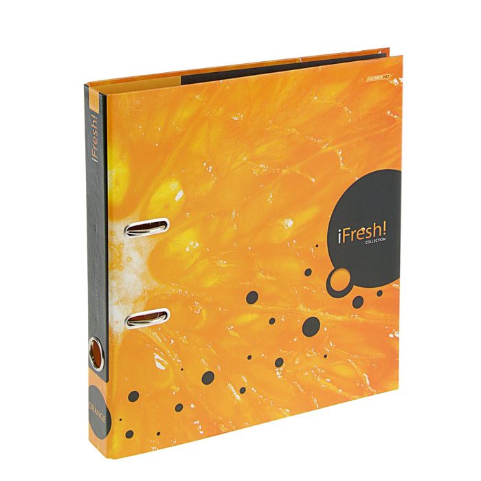 Папка-регистратор А4, 50мм iFRESH "Апельсин"