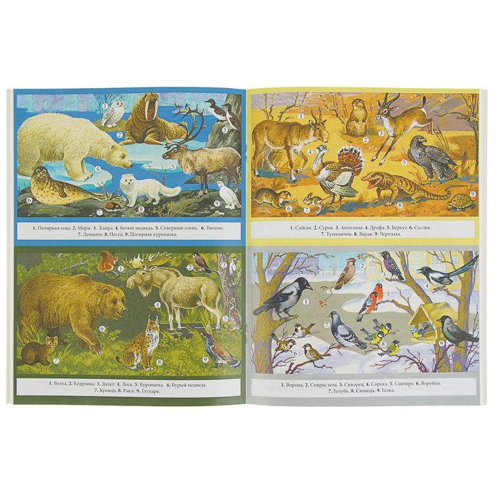 Школьный справочник для нач. классов. Животные: виды, особенности, места обитания