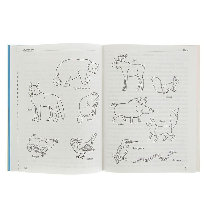 Школьный справочник для нач. классов. Животные: виды, особенности, места обитания