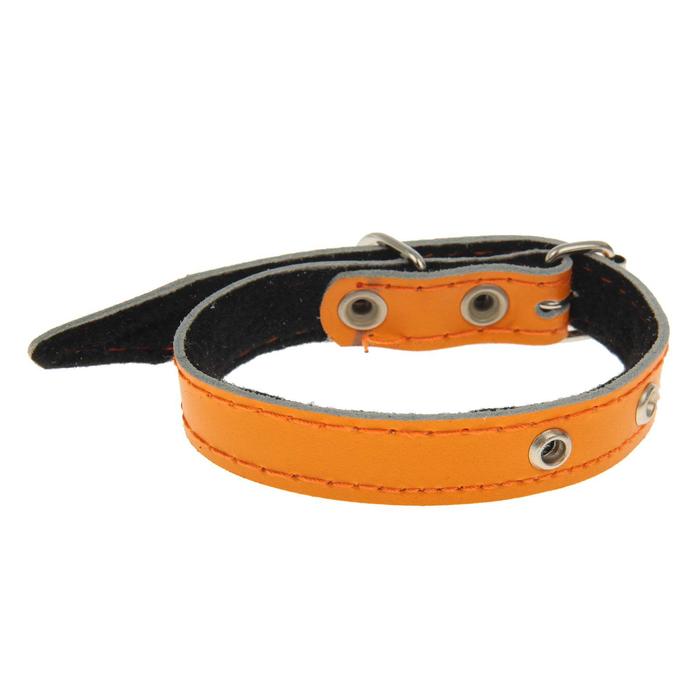 Ошейник кожаный №20 с синтепоном, 36 х 2 см МИКС ЦВЕТОВ