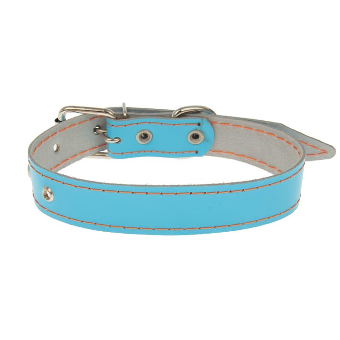 Ошейник кожаный №30 безразмерный, 55 х 3 см, микс цветов