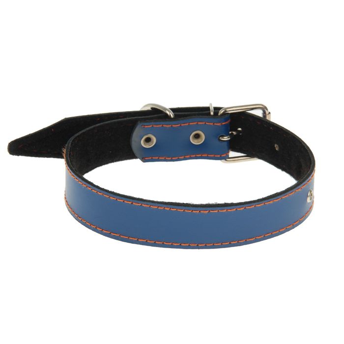 Ошейник кожаный неукрашенный №35 с синтепоном, 60 х 3,5 см, микс цветов