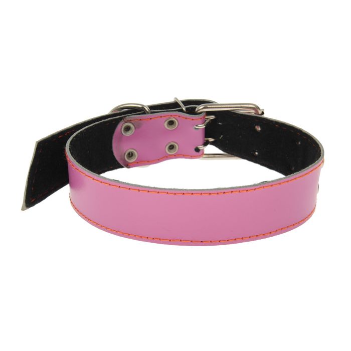 Ошейник кожаный №45 безразмерный, с синтепоном, 65 х 4,5 см  микс цветов