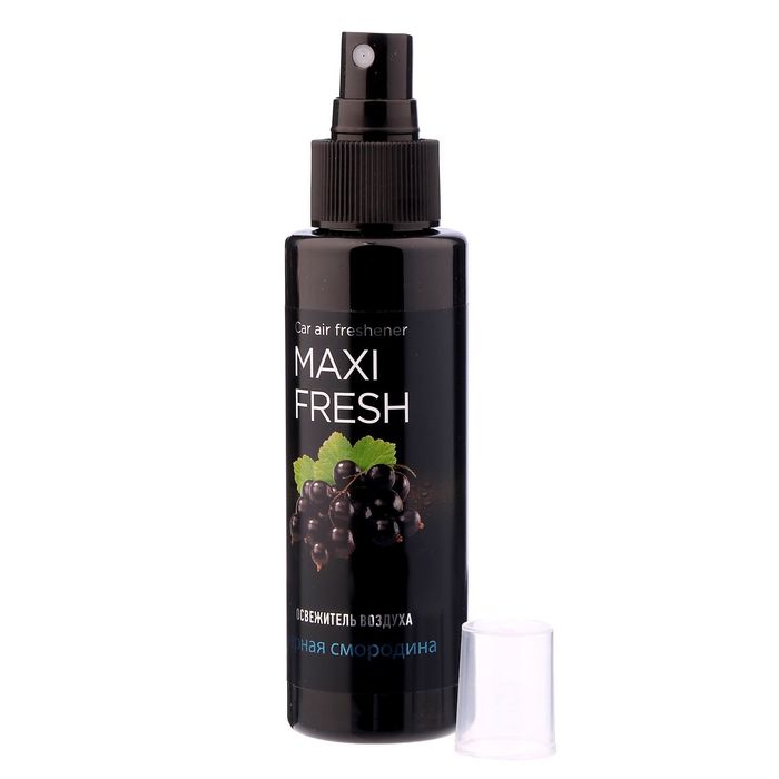 Ароматизатор MAXI FRESH спрей, чёрная смордина, 110 мл