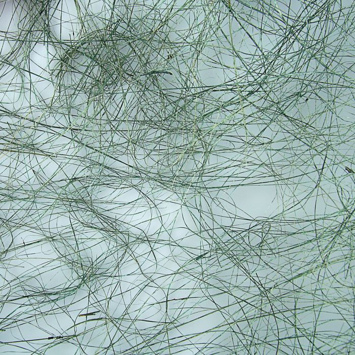 Абака натуральная тонкая, зеленая, 48 см х 4,5 м