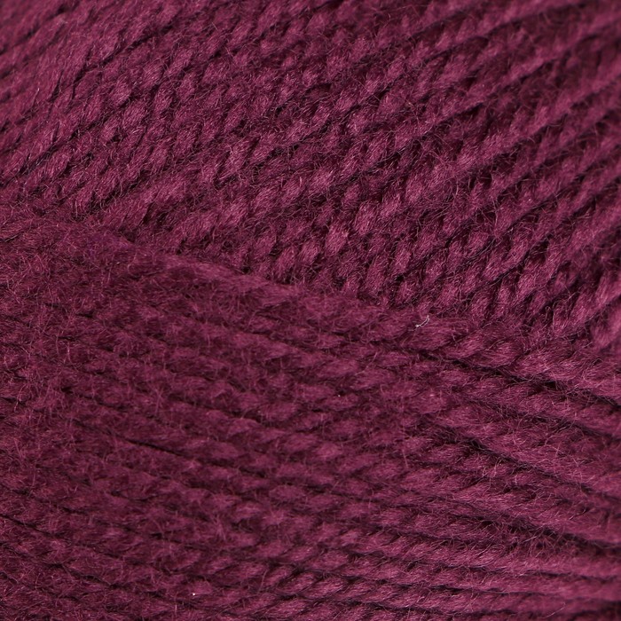 Пряжа "Акрил" 100% акрил 300м/100гр (191-Ежевика)