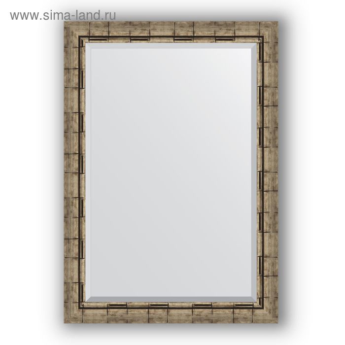 Зеркало с фацетом в багетной раме - серебряный бамбук 73 мм, 73 х 103 см, Evoform