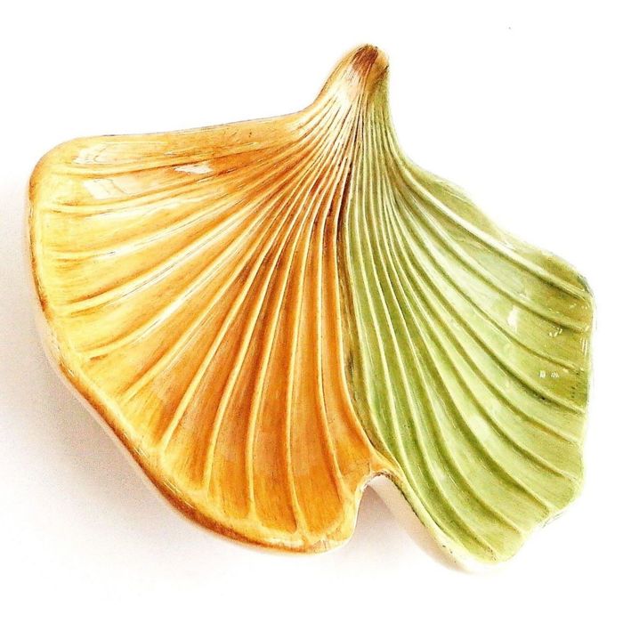 Мыльница GINKGO