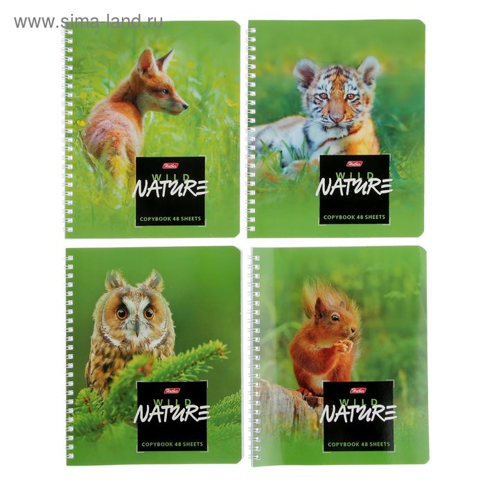 

Тетрадь 48 листов клетка на гребне Wild Nature, картонная обложка, МИКС