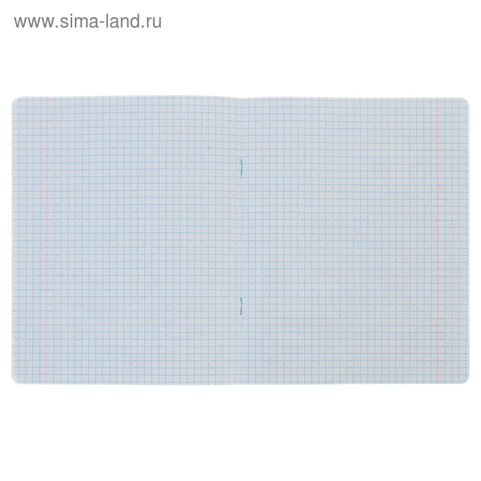 

Тетрадь 24 листа, в клетку, "Весёлый горошек", обложка мелованный картон, блок офсет, МИКС