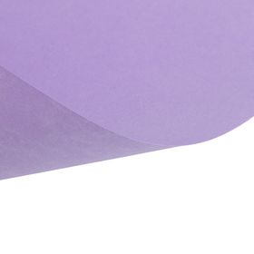 

Картон цветной, 420 х 297 мм, Sadipal Sirio, НАБОР 10 листов, 10 цветов, 170 г/м2, светлые цвета