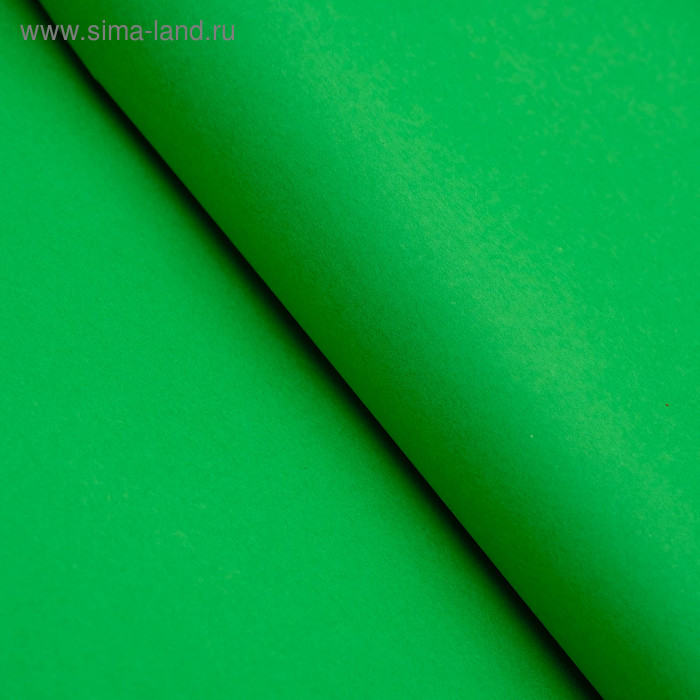 Бумага цветная тишью шёлковая, 510 х 760 мм, Sadipal, 1 лист, 17 г/м2, зелёная