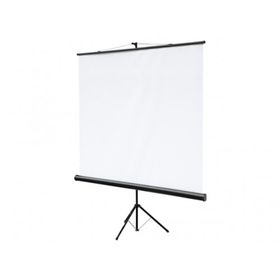 

Экран на треноге Digis Kontur-C 180x180 DSKC-1102 напольный, рулонный