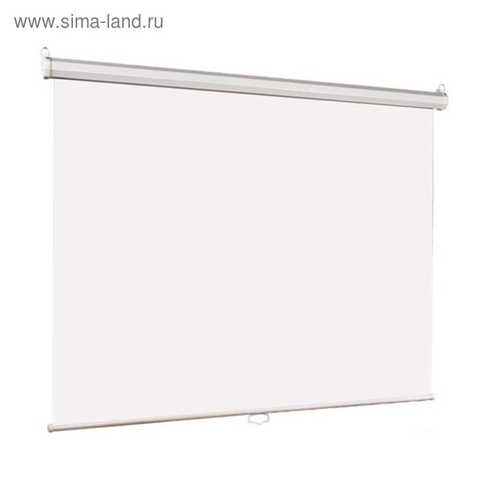 Экран Lumien 150x150 Eco Picture LEP-100101 1:1, настенно-потолочный, рулонный