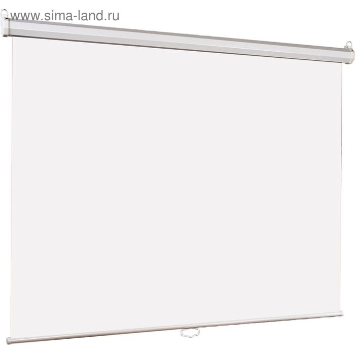 Экран Lumien 160x160 Eco Picture LEP-100105 1:1, настенно-потолочный, рулонный