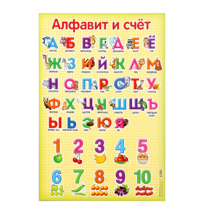 Обучающий плакат "Алфавит и счёт", А2