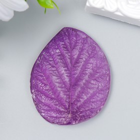 

Молд пластик st-0179 "Лист малины" 4,5х6 см МИКС