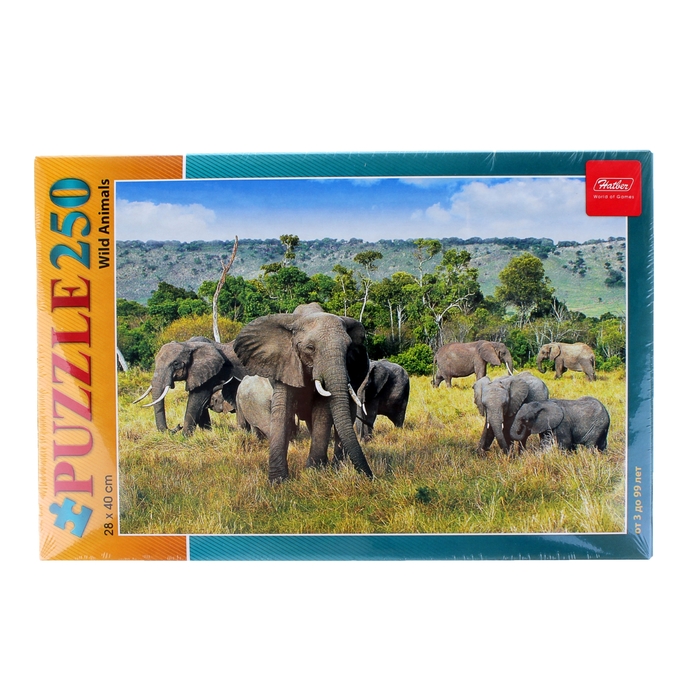 Пазлы "Слоны в саванне", 250 элементов