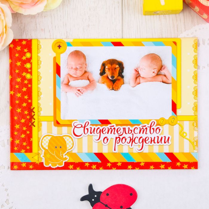 Свидетельство о рождении "2 малыша"