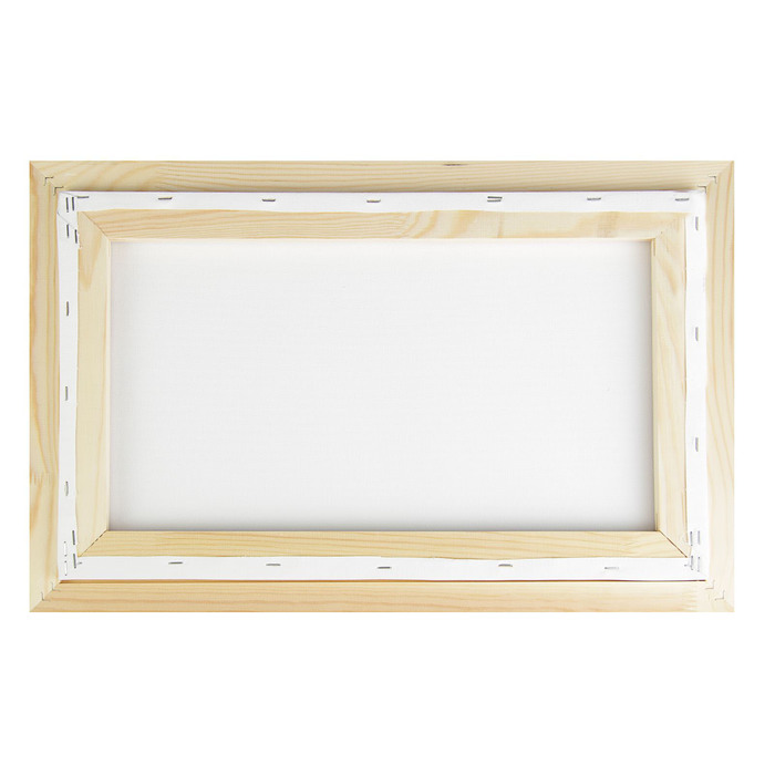 Холст на подрамнике хлопок 100% акриловый грунт 2*30*50 см среднезернистый, 380г/м² + рама Школа Художников