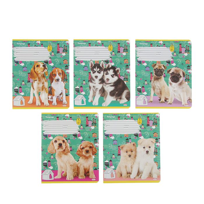 Тетрадь 18 листов клетка "Щенки на зеленом фоне", обложка мелованный картон, МИКС