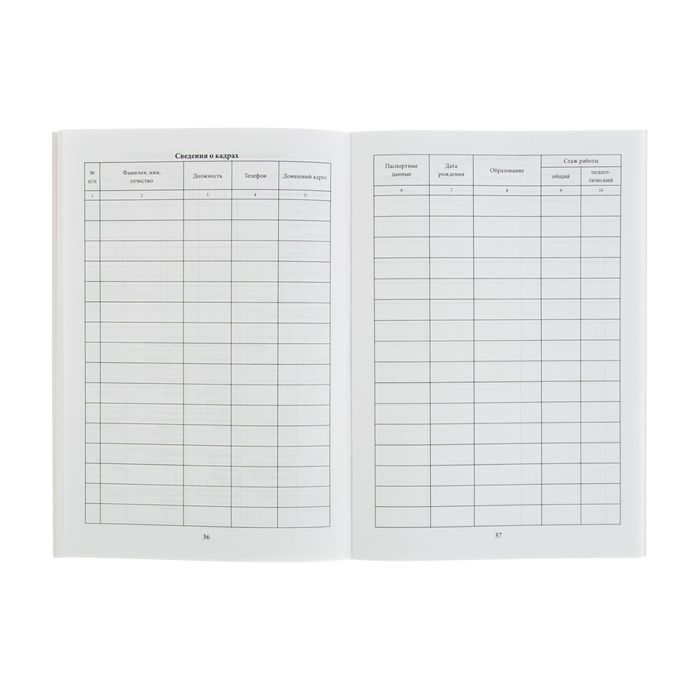 Ежедневник руководителя ДОО А5, 48 листов, картонная обложка, глянцевая ламинация