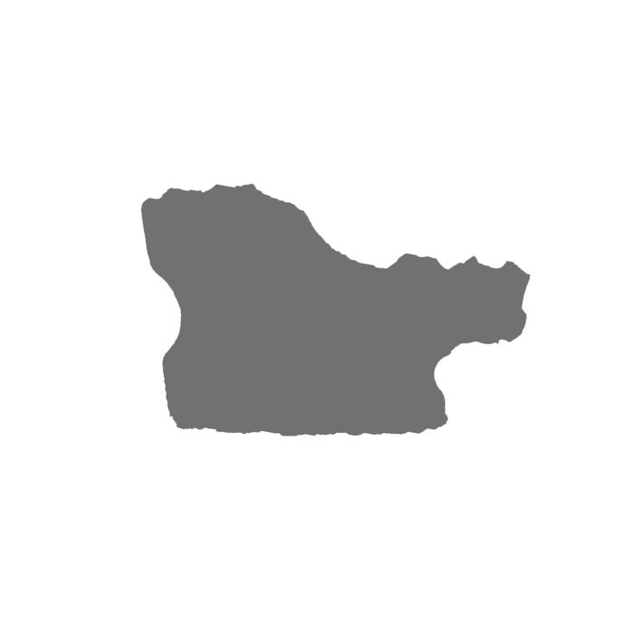 Багет пластиковый 29мм*22мм*2.9м (Ш*В*Д) "ШХ" 248-2922 коричневый/золотой