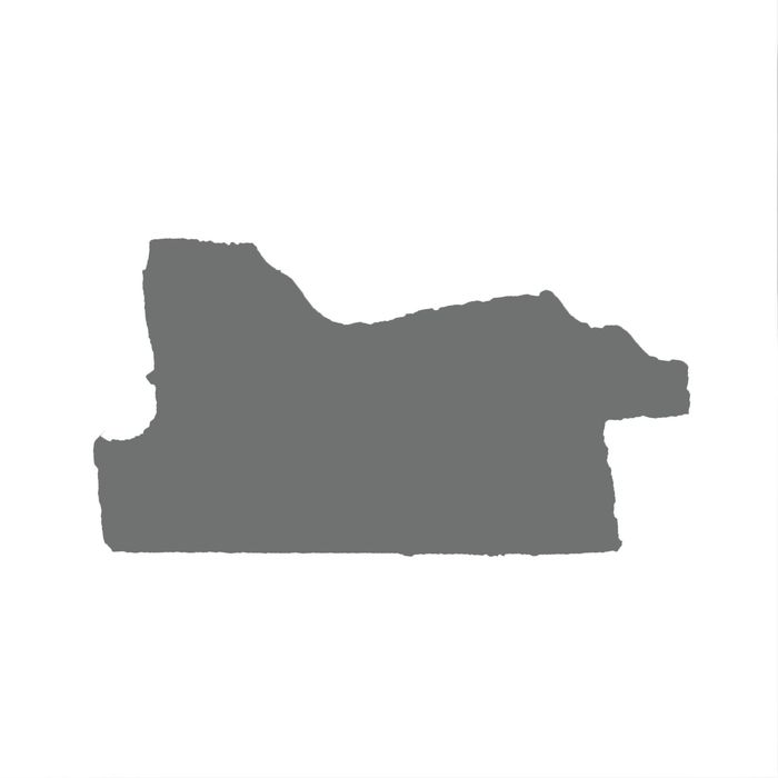 Багет пластиковый 49мм*25мм*2.9м (Ш*В*Д) "ШХ" 166-5329 белый