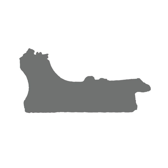 Багет пластиковый 50мм*25мм*2.9м (Ш*В*Д) "ШХ" 240-5025 Белый борт красный