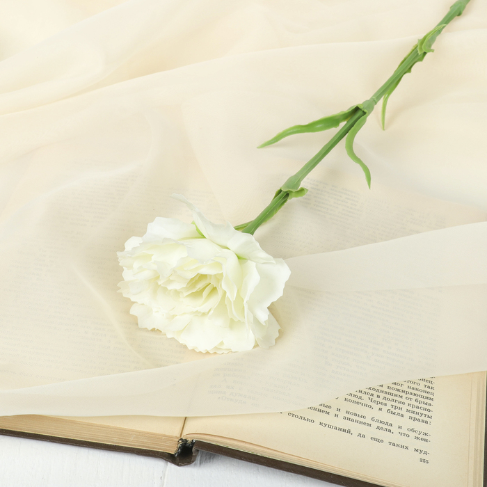 Цветок искусственный LIVE "Гвоздика волнистая белая"