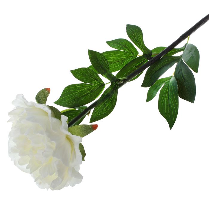 Цветок искусственный LIVE "Пион белый"