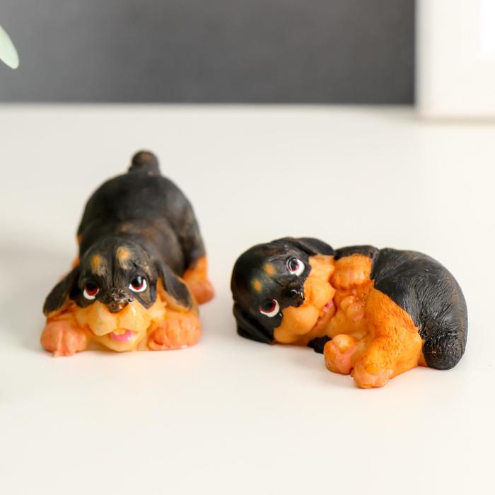 Сувенир полистоун "Ротвейлер" МИКС 4х2,5х3,5 см