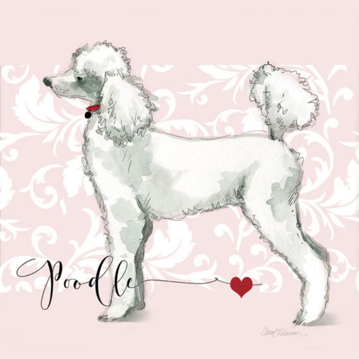 Картина на подрамнике "Люблю пуделя"