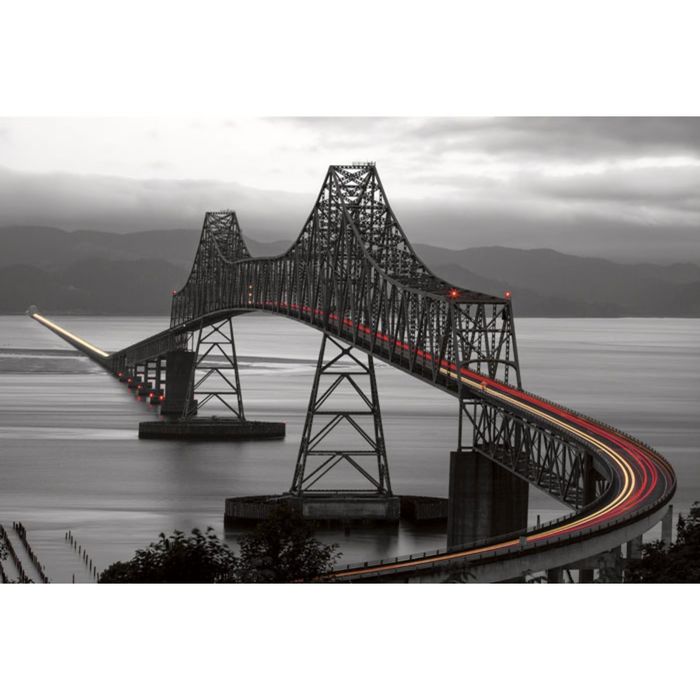 Картина на подрамнике "Бумеранг"