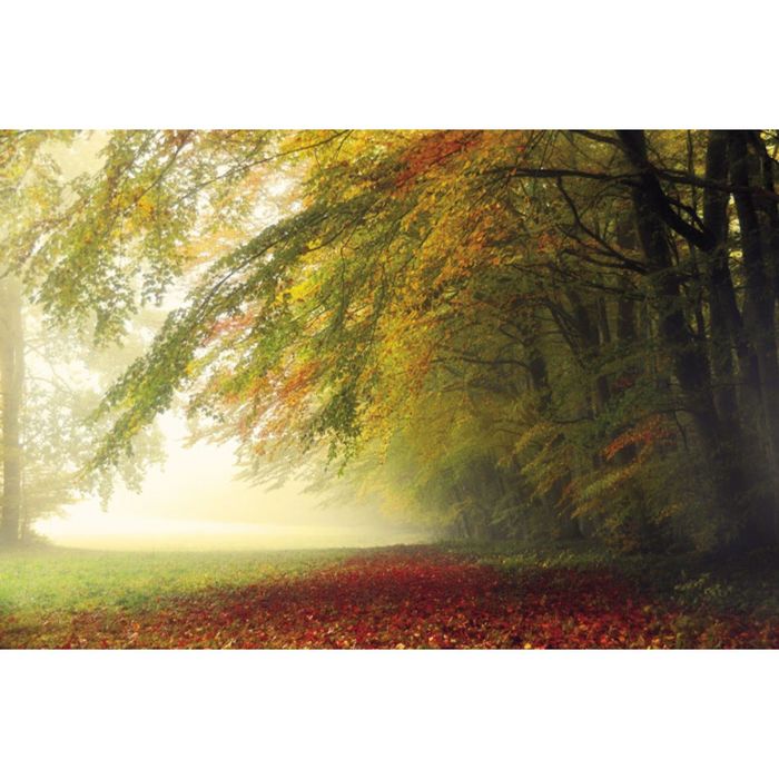 Картина на подрамнике "Тишина"