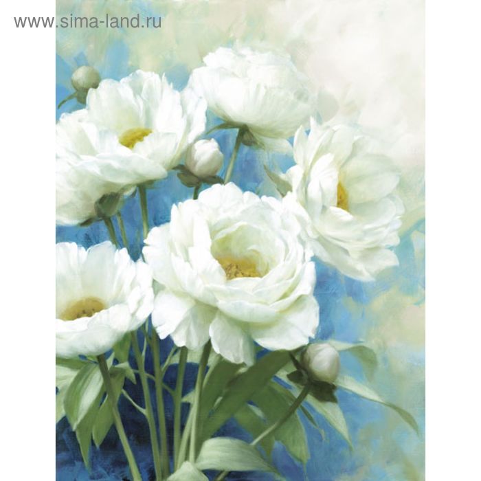 Коллекция Канвас Постер 