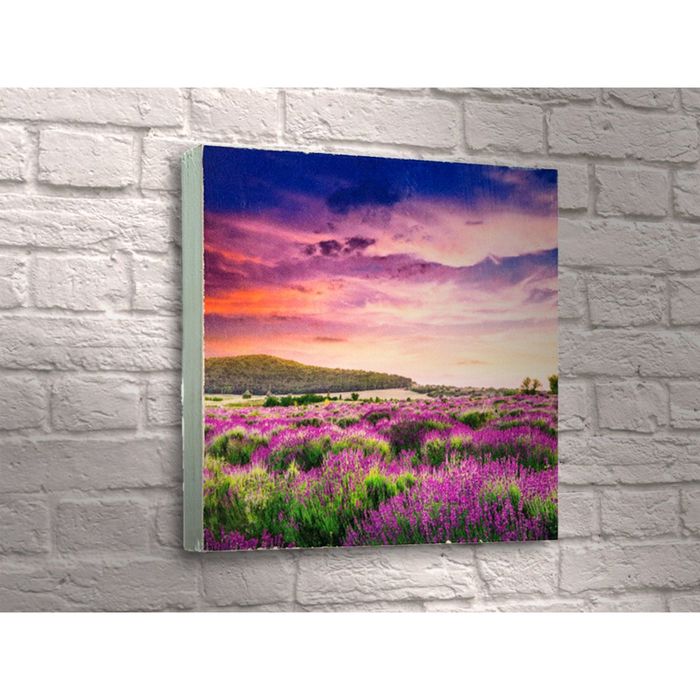 Картина "Цветочное поле"