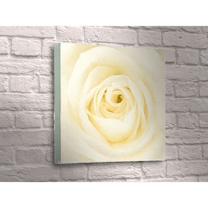 Картина "Нежная кремовая роза"