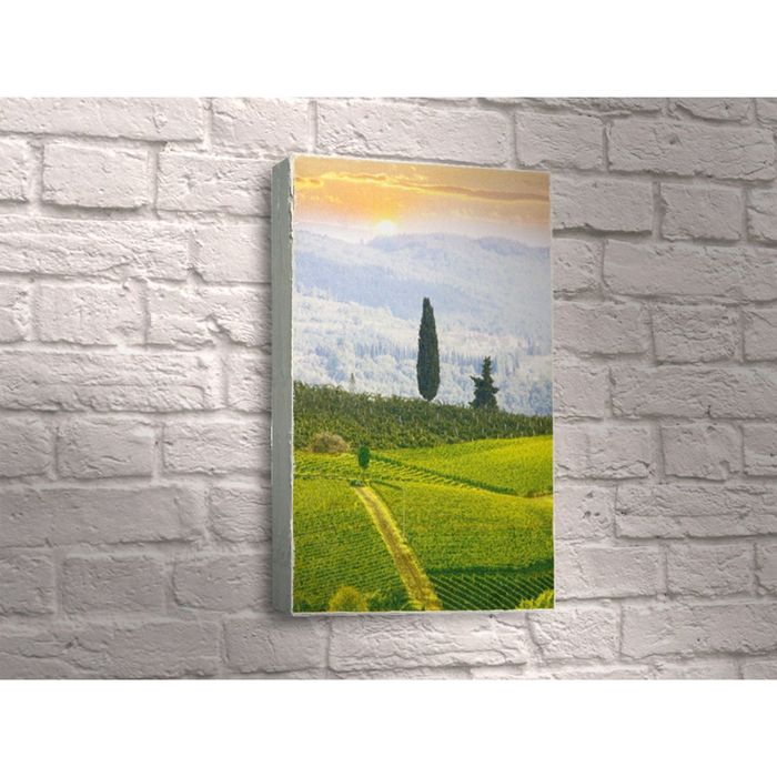 Картина "Поля Прованса"