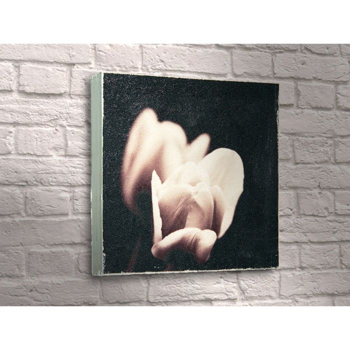 Картина "Белые тюльпаны на чёрном фоне"