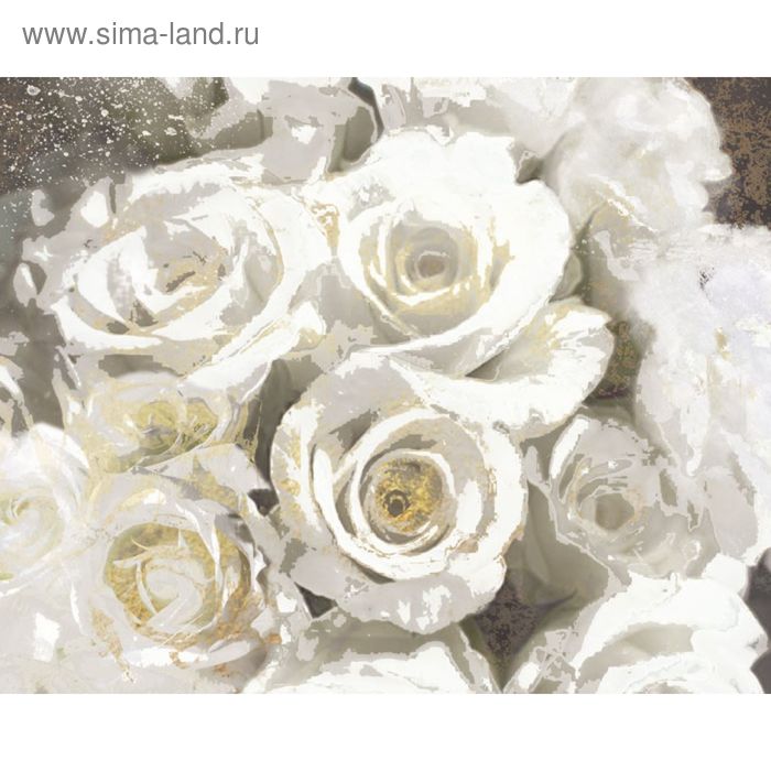 Коллекция Канвас Постер 