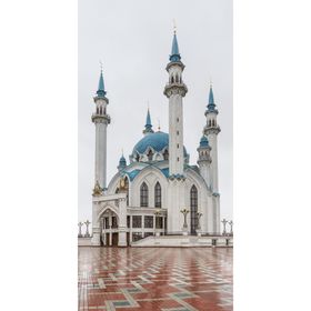 

Коллекция Канвас Постер "Кул Шариф" 60/120