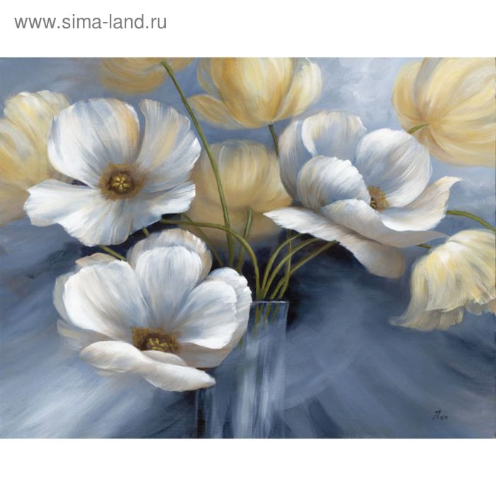 Коллекция Канвас Постер 