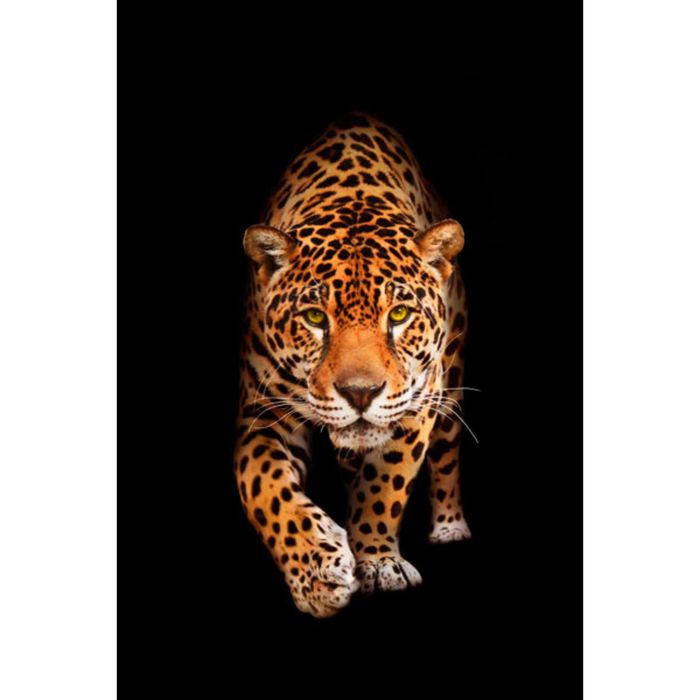 Картина на подрамнике "Пантера"