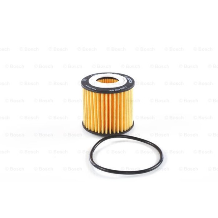 Фильтр масляный Bosch F026407091