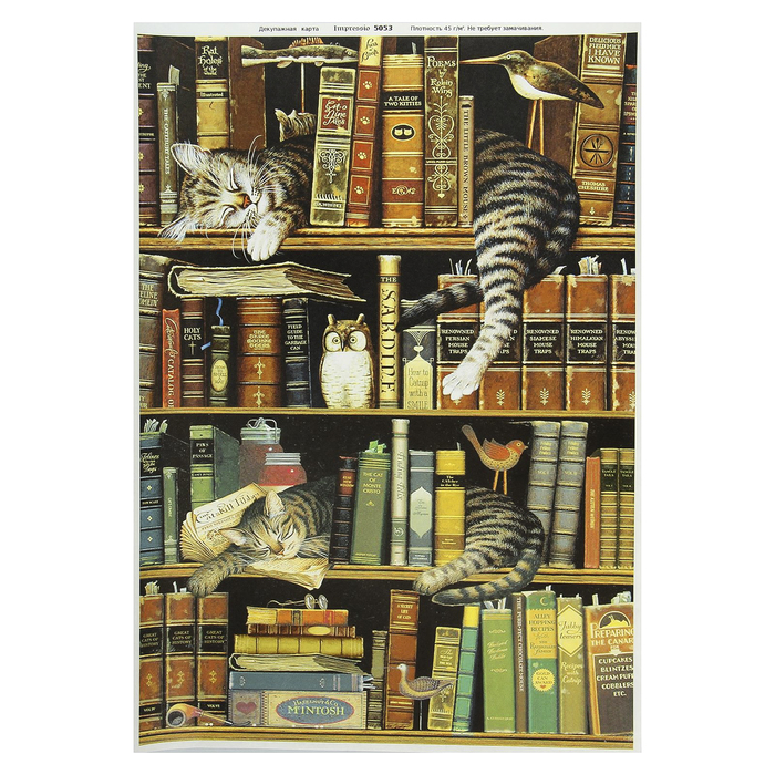 Декупажная карта "Книжный шкаф" плотность 45г/м2, формат А4